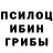 Галлюциногенные грибы Psilocybe shioda100