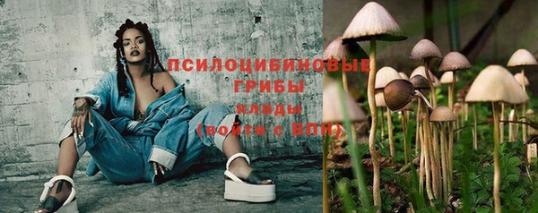 скорость Покачи